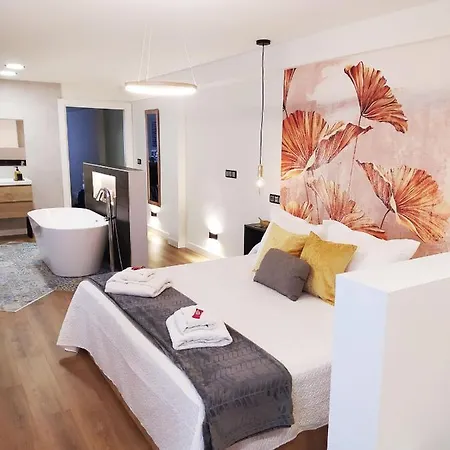 Lujoso Apartamento Centro De Oviedo